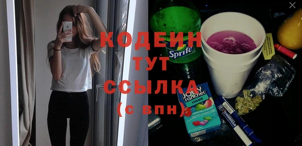 индика Лихославль