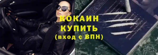 индика Лихославль