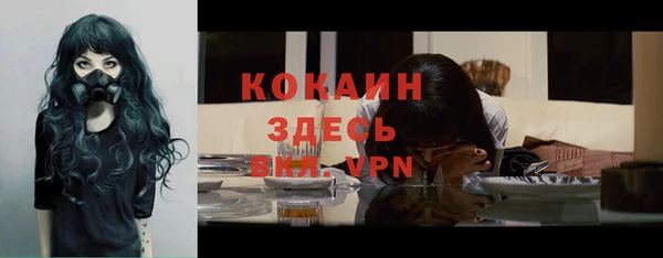 МДПВ Лиски