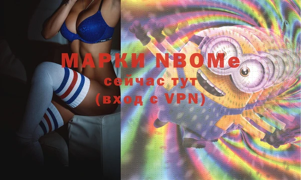 индика Лихославль
