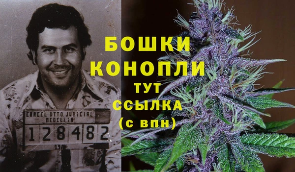 МДПВ Лиски