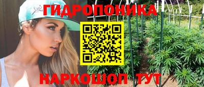 ALPHA PVP Заволжье