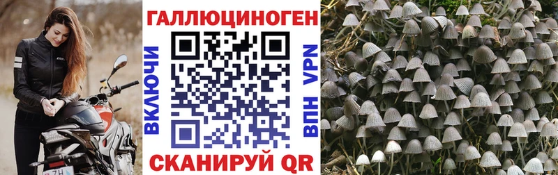 Псилоцибиновые грибы GOLDEN TEACHER  дарнет шоп  mega сайт  Нижневартовск 