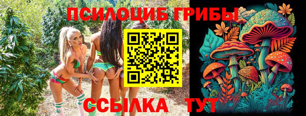 Нижневартовск  Галлюциногенные грибы Magic Shrooms  Вход с VPN  Галлюциногенные грибы Magic Shrooms 